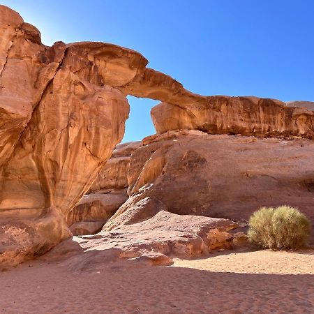 Wadi Rum Tents Buitenkant foto