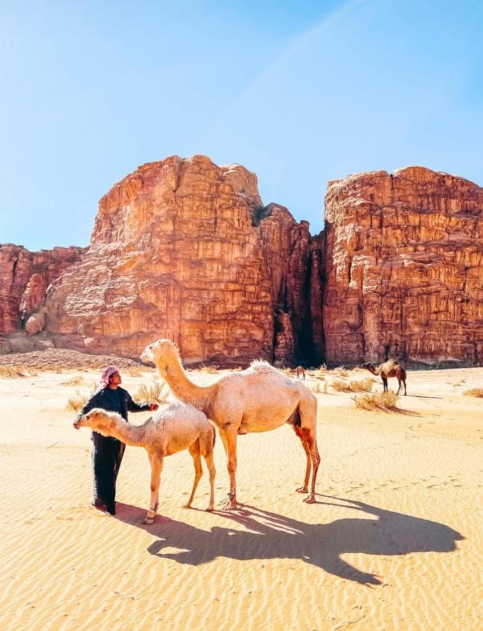 Wadi Rum Tents Buitenkant foto